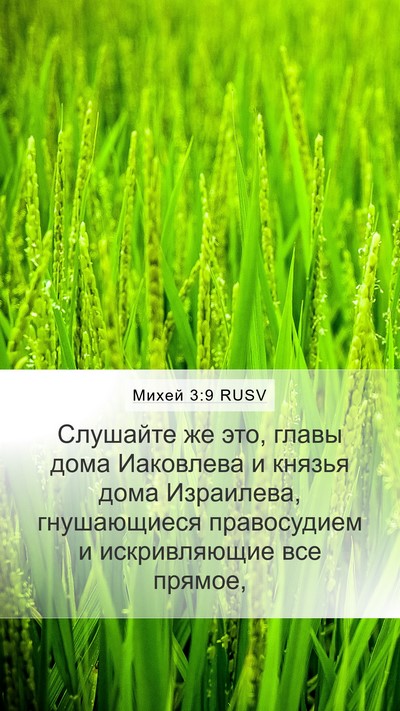 Михей 3:9 RUSV Bible Verse Image