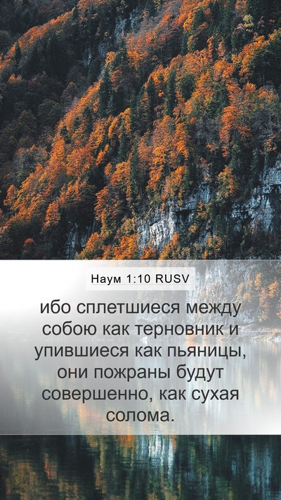 Наум 1:10 RUSV Bible Verse Image