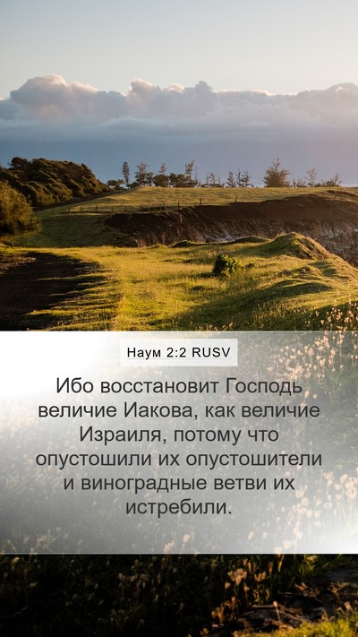 Наум 2:2 RUSV Bible Verse Image