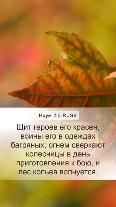 Наум 2:3 RUSV Bible Verse Image