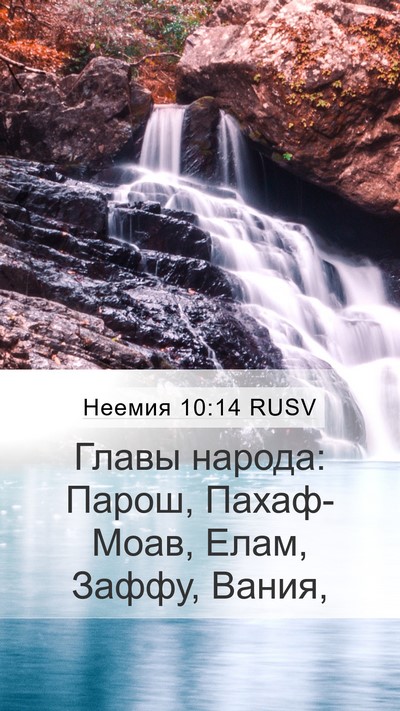 Неемия 10:14 RUSV Bible Verse Image
