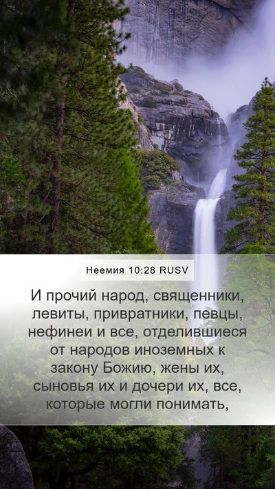 Неемия 10:28 RUSV Bible Verse Image