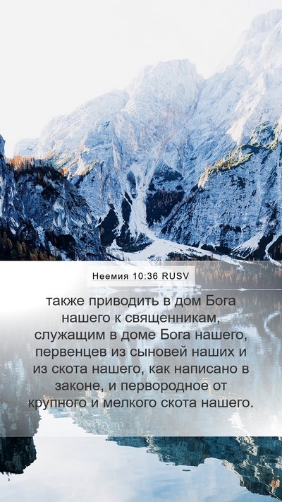 Неемия 10:36 RUSV Mobile Phone Wallpaper - также приводить в дом Бога - Mobile Bible Verse Wallpaper