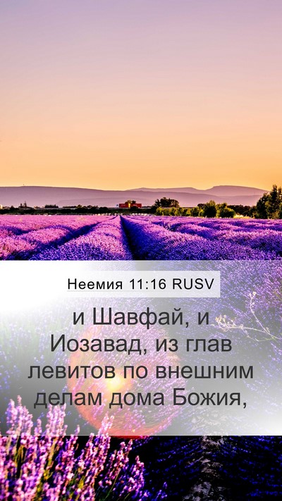 Неемия 11:16 RUSV Bible Verse Image
