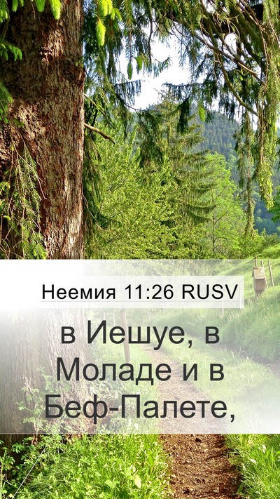 Неемия 11:26 RUSV Bible Verse Image