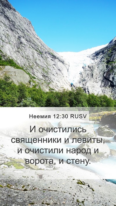 Неемия 12:30 RUSV Bible Verse Image
