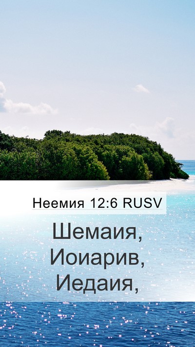 Неемия 12:6 RUSV Bible Verse Image