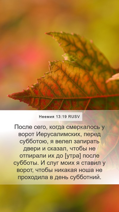Неемия 13:19 RUSV Bible Verse Image