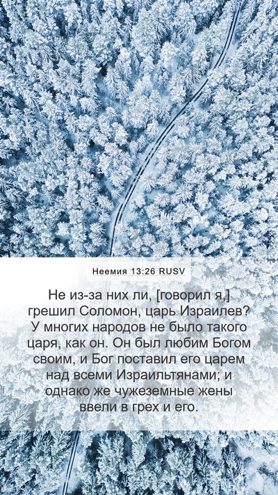 Неемия 13:26 RUSV Bible Verse Image