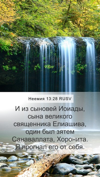 Неемия 13:28 RUSV Bible Verse Image