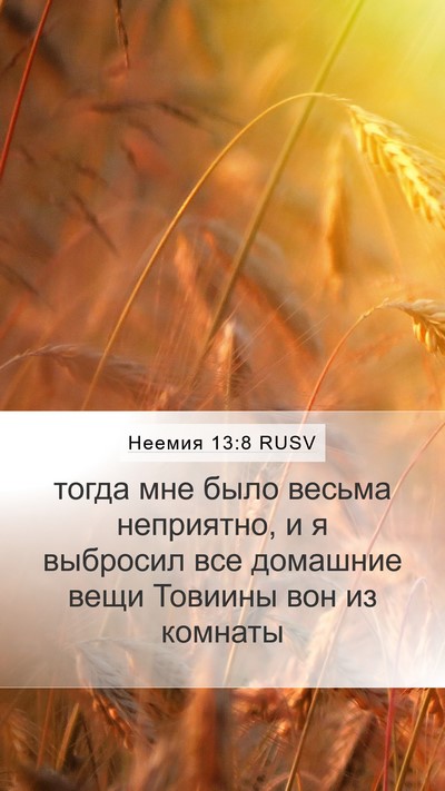 Неемия 13:8 RUSV Mobile Phone Wallpaper - тогда мне было весьма - Mobile Bible Verse Wallpaper