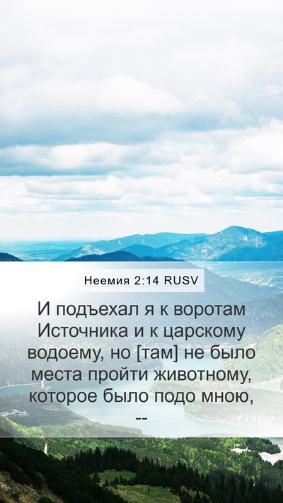 Неемия 2:14 RUSV Bible Verse Image