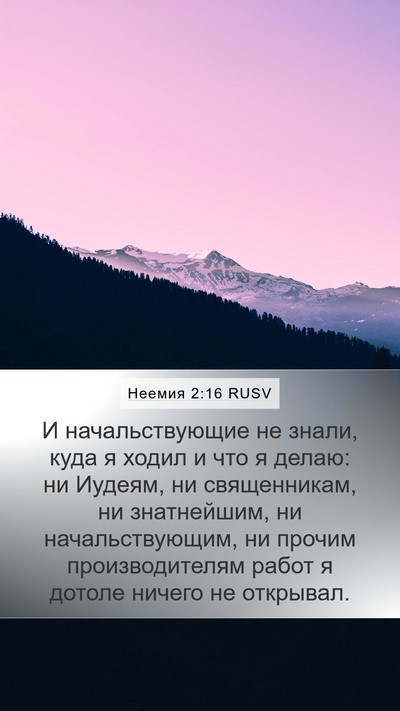Неемия 2:16 RUSV Mobile Phone Wallpaper - И начальствующие не знали, - Mobile Bible Verse Wallpaper