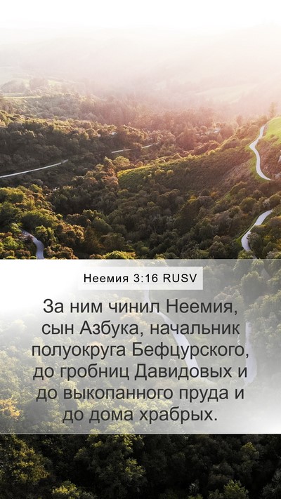 Неемия 3:16 RUSV Mobile Phone Wallpaper - За ним чинил Неемия, сын - Mobile Bible Verse Wallpaper