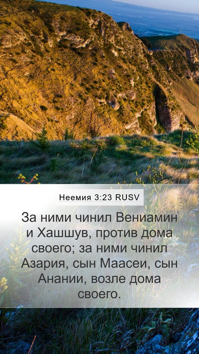 Неемия 3:23 RUSV Bible Verse Image