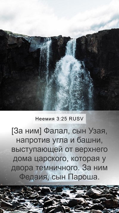 Неемия 3:25 RUSV Bible Verse Image