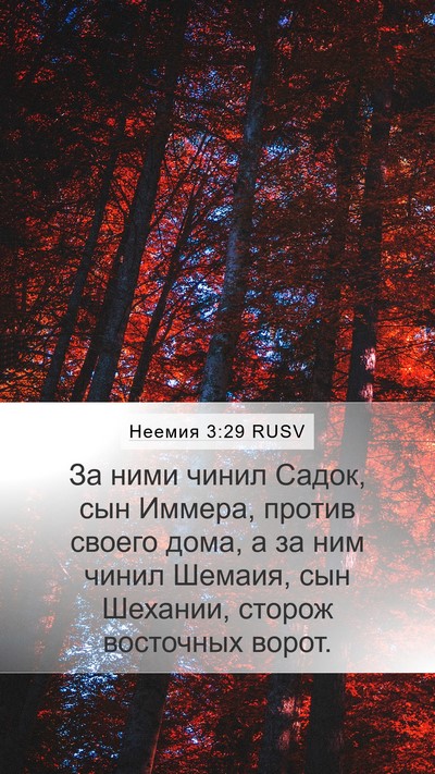 Неемия 3:29 RUSV Bible Verse Image