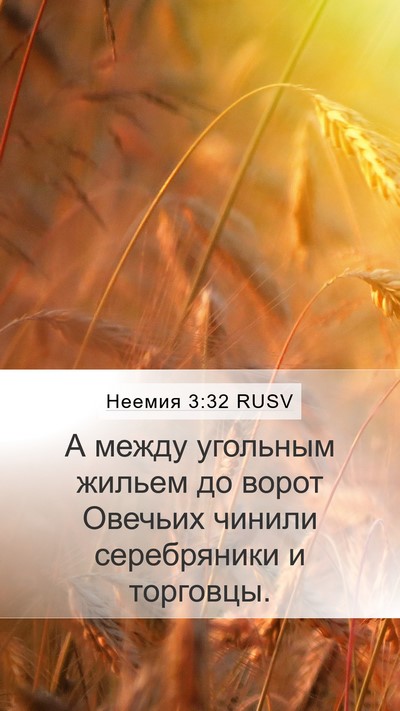 Неемия 3:32 RUSV Bible Verse Image