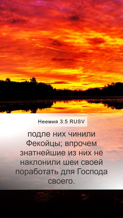 Неемия 3:5 RUSV Bible Verse Image
