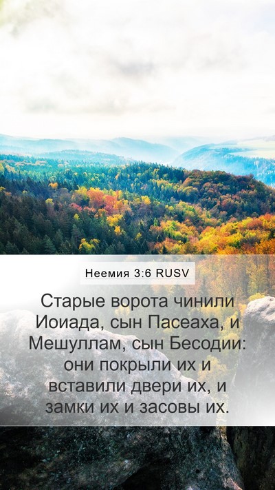 Неемия 3:6 RUSV Bible Verse Image