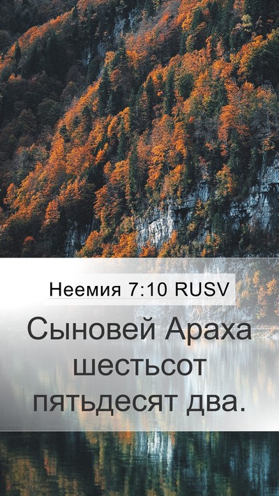 Неемия 7:10 RUSV Mobile Phone Wallpaper - Сыновей Араха шестьсот - Mobile Bible Verse Wallpaper