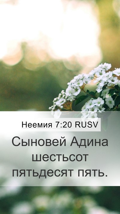Неемия 7:20 RUSV Mobile Phone Wallpaper - Сыновей Адина шестьсот - Mobile Bible Verse Wallpaper