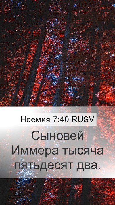 Неемия 7:40 RUSV Mobile Phone Wallpaper - Сыновей Иммера тысяча - Mobile Bible Verse Wallpaper