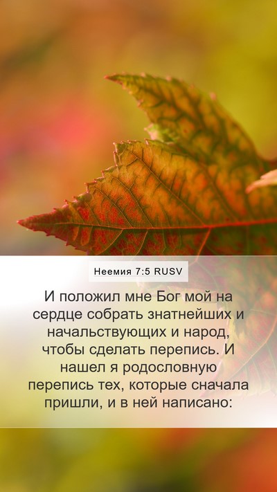 Неемия 7:5 RUSV Mobile Phone Wallpaper - И положил мне Бог мой на - Mobile Bible Verse Wallpaper