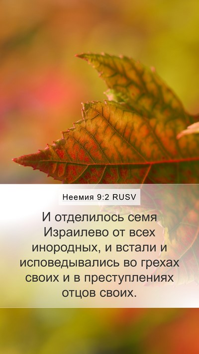 Неемия 9:2 RUSV Bible Verse Image