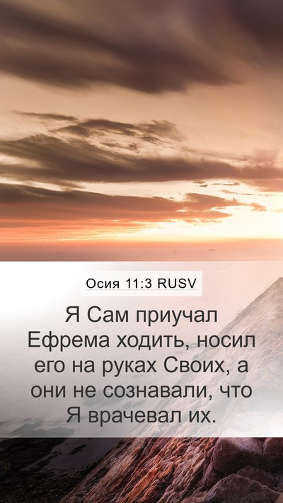 Осия 11:3 RUSV Bible Verse Image