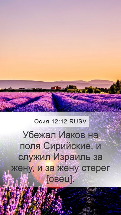 Осия 12:12 RUSV Bible Verse Image