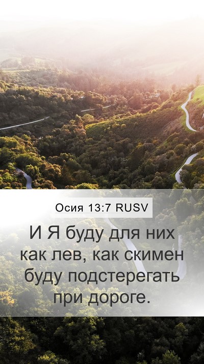 Осия 13:7 RUSV Bible Verse Image