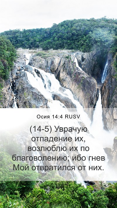 Осия 14:4 RUSV Bible Verse Image