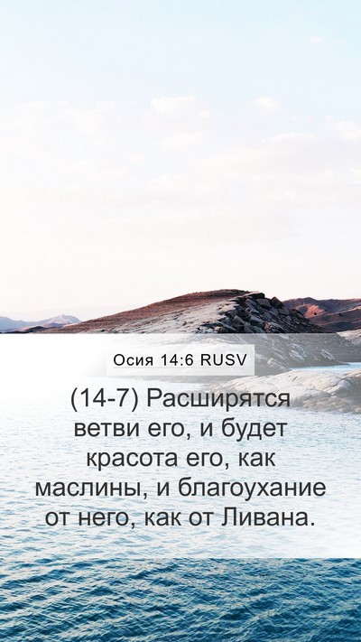 Осия 14:6 RUSV Bible Verse Image