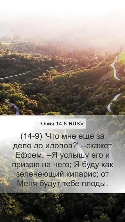Осия 14:8 RUSV Bible Verse Image