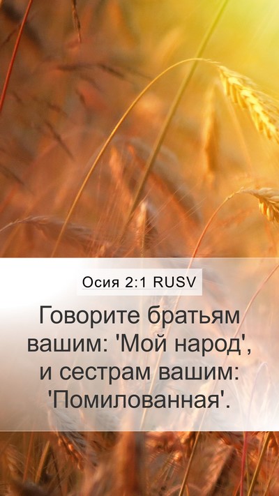 Осия 2:1 RUSV Mobile Phone Wallpaper - Говорите братьям вашим: - Mobile Bible Verse Wallpaper