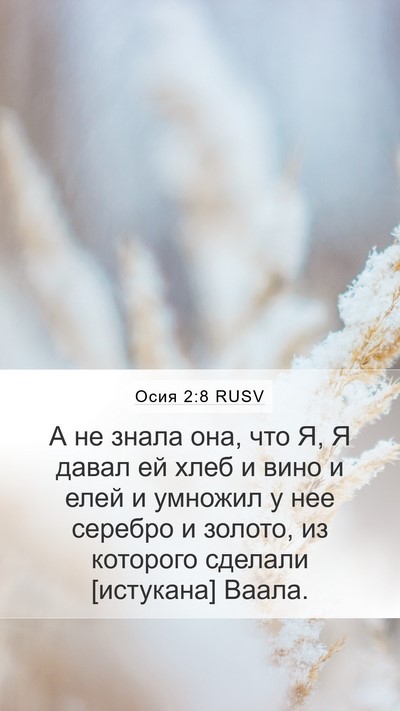 Осия 2:8 RUSV Bible Verse Image