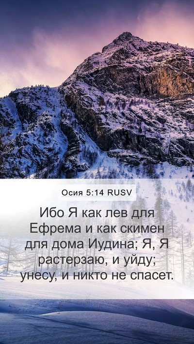 Осия 5:14 RUSV Bible Verse Image