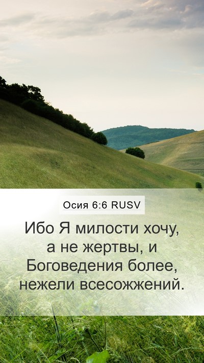 Осия 6:6 RUSV Bible Verse Image