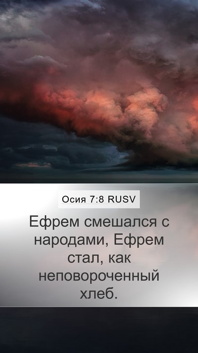 Осия 7:8 RUSV Bible Verse Image