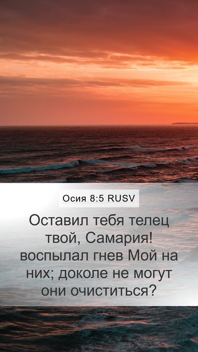 Осия 8:5 RUSV Mobile Phone Wallpaper - Оставил тебя телец твой, - Mobile Bible Verse Wallpaper