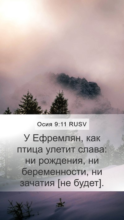 Осия 9:11 RUSV Bible Verse Image