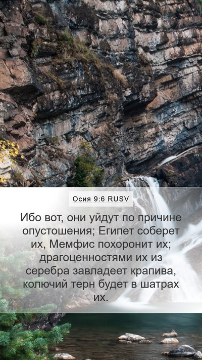 Осия 9:6 RUSV Bible Verse Image