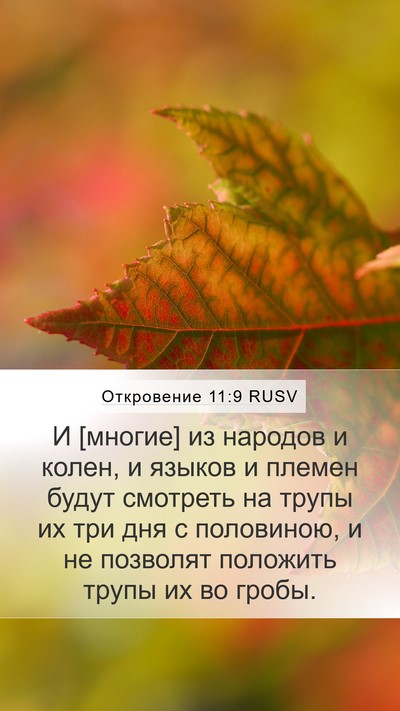 Откровение 11:9 RUSV Bible Verse Image
