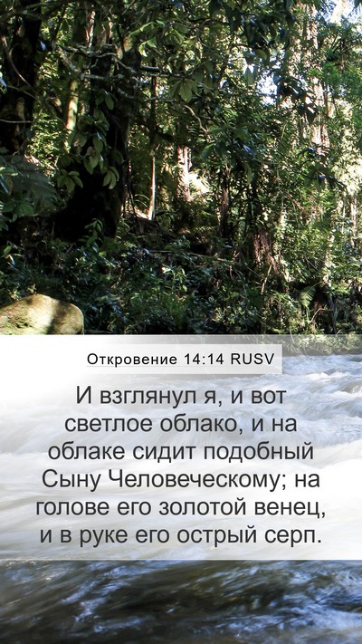 Откровение 14:14 RUSV Bible Verse Image
