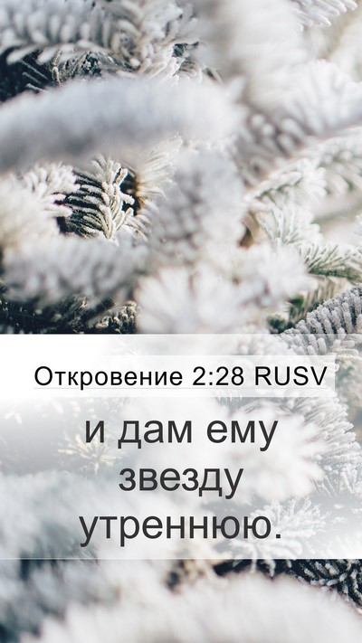 Откровение 2:28 RUSV Bible Verse Image