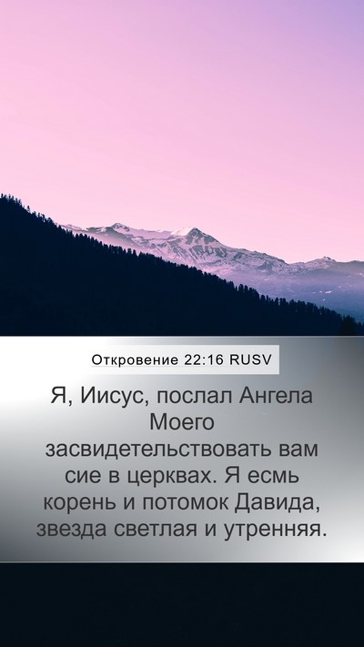 Откровение 22:16 RUSV Bible Verse Image