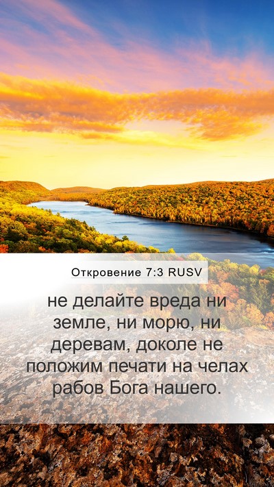Откровение 7:3 RUSV Bible Verse Image