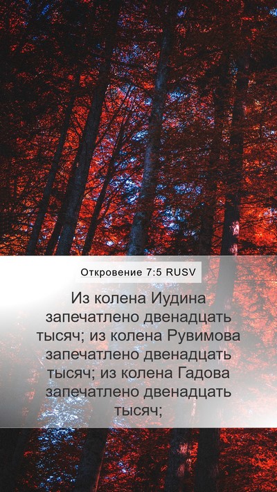Откровение 7:5 RUSV Mobile Phone Wallpaper - Из колена Иудина - Mobile Bible Verse Wallpaper