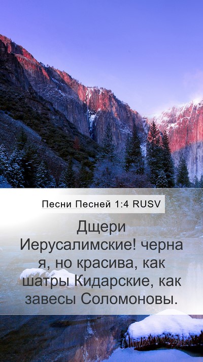 Песни Песней 1:4 RUSV Bible Verse Image